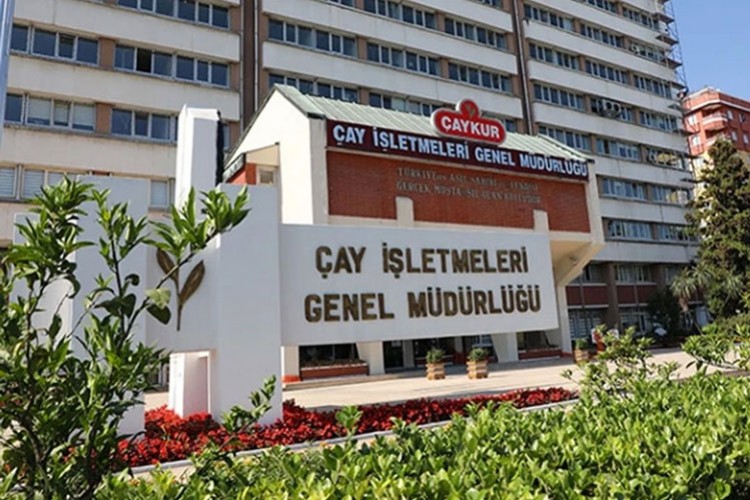 ÇAYKUR üçüncü sürgün yaş çay alımlarına başladı