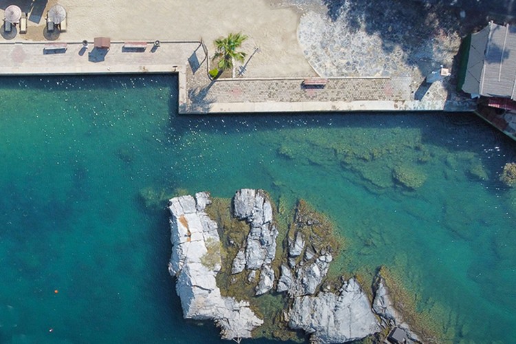 Sade Değerlerle Net-Sıfır Hedefine Yolculuk