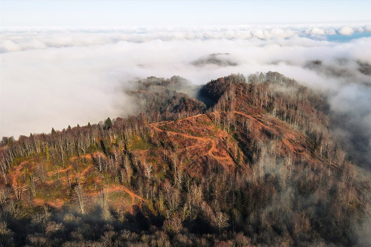 Çam Dağı'ndaki renk cümbüşüyle dronla görüntülendi