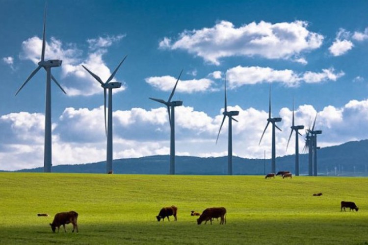 Antalya'ya 50,4 MW'lik Mila-5 RES geliyor