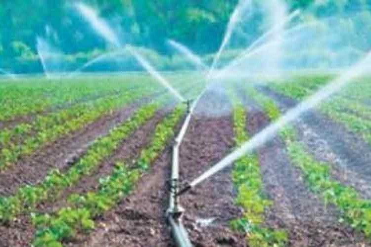 Pancar sulama avans ödemeleri bugün yapılacak