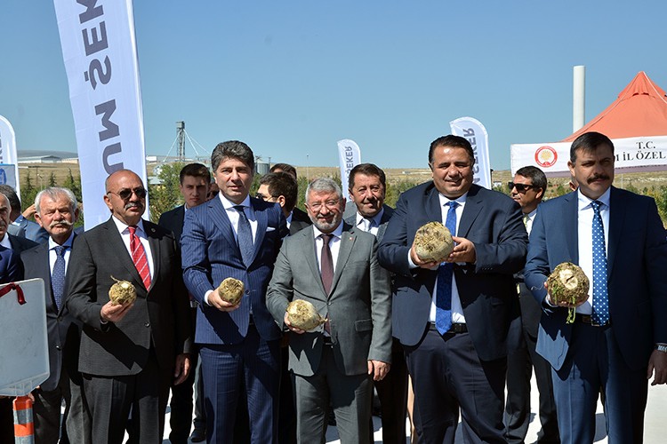 Pancarda alım başladı