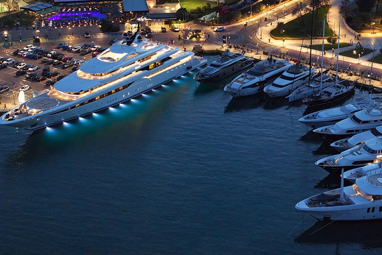 D Marin büyümeye devam ediyor