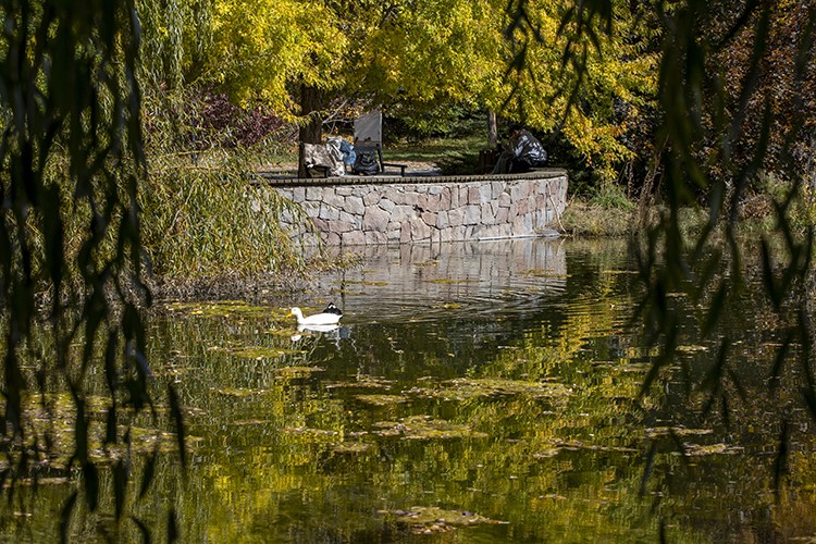 Ata Botanik Bahçe'de sonbahar renkleri hakim oldu