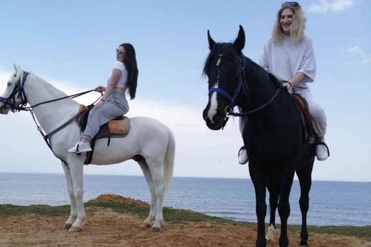 At binmeye ülkemize geliyorlar