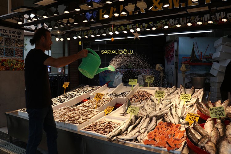 Trabzon'da balıkçı tezgahlarını mezgit ve istavrit süslüyor