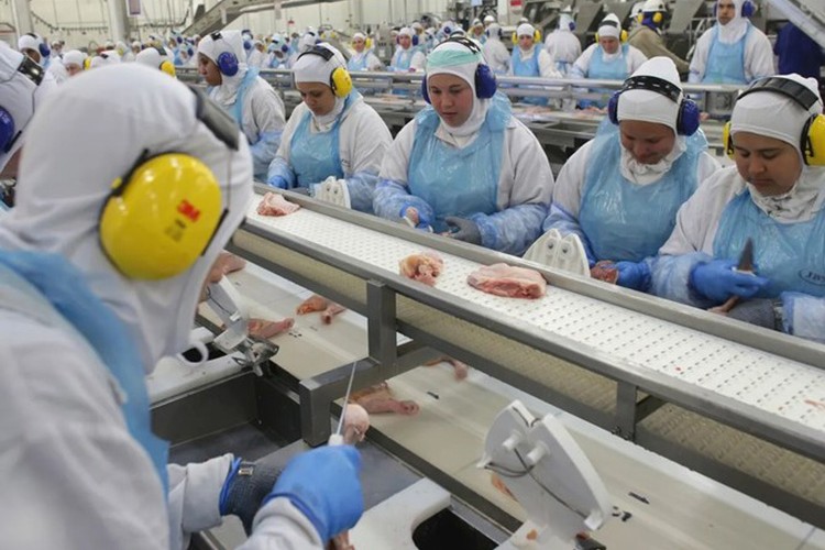 S. Arabistan gıda endüstrisi için 20 milyar dolar yatırım