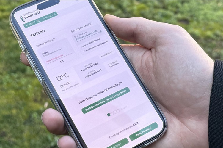 Abla kardeş çiftçiye yapay zeka ile destek veriyor