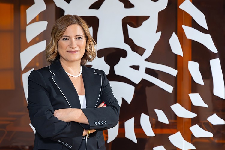Meslek sahiplerine 2,4 milyon TL'ye varan finansman desteği
