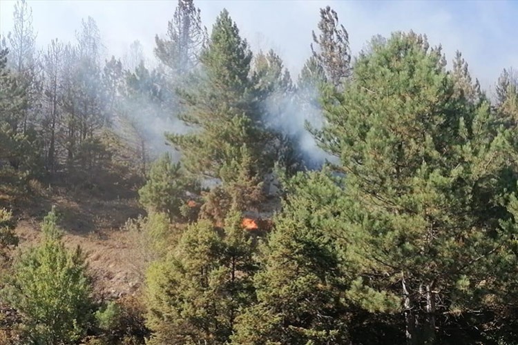 Konya'da ormanlık alanda çıkan yangına müdahale ediliyor