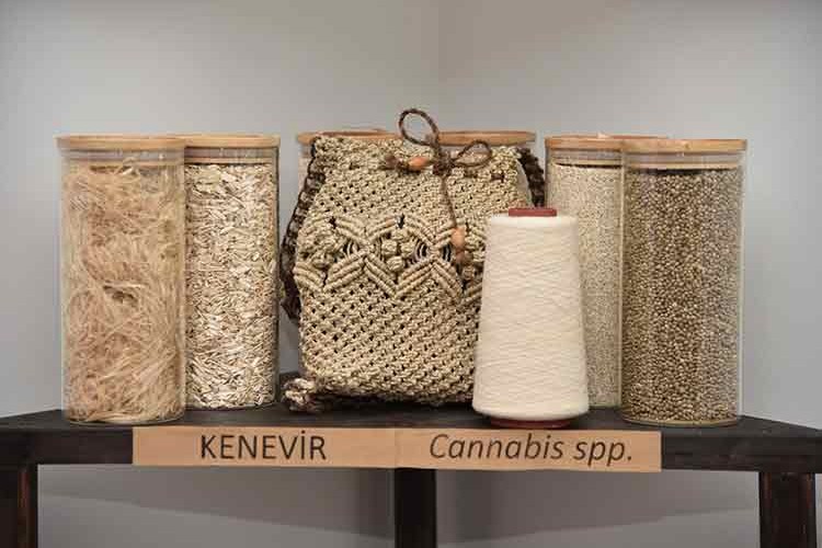 OMÜ kenevirde Samsun'un Türkiye markası olmasını hedefliyor