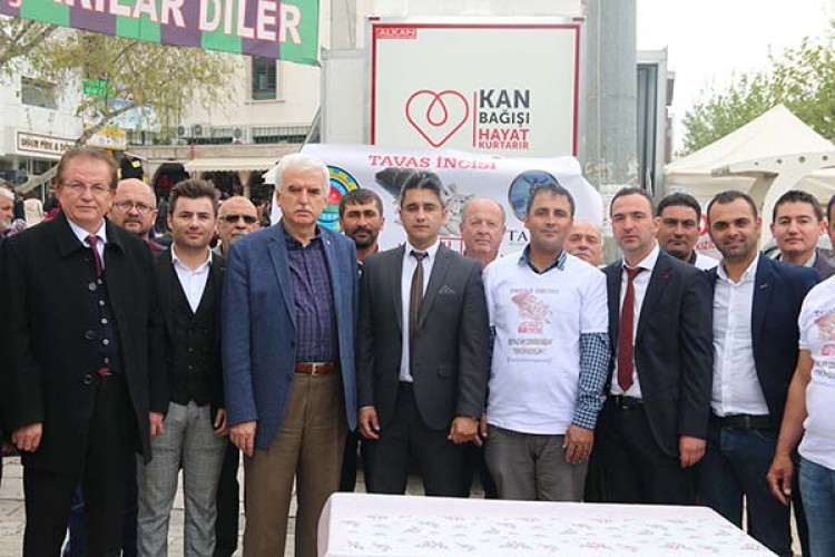 Yerli çekirdek dağıtıldı