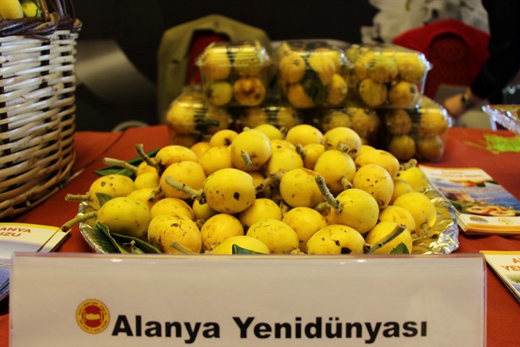 Coğrafi işaretli ürünlerin AB tescil süreci hızlandı