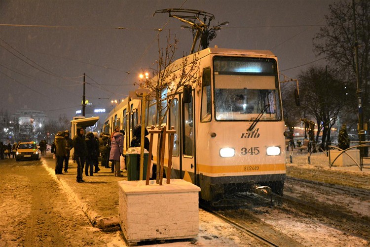 İhaleyi Türk şirketi kazandı