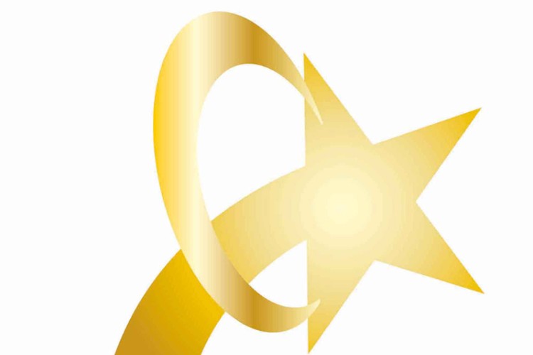 Türkiye'de yılın otomobili için yarışacak 7 finalist belli oldu