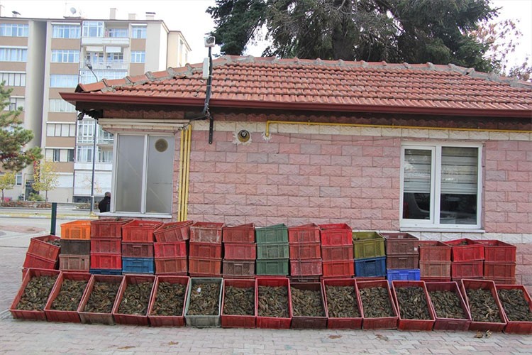 Isparta'da kaçak avlanan 84 kasa kerevit ele geçirildi