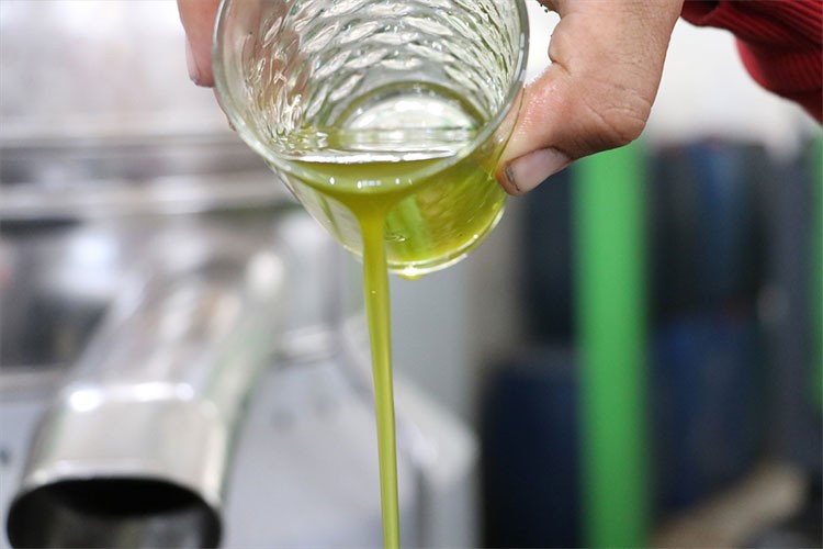 Zeytin üreticisi Kilis'ten zeytinyağında sahtecilik uyarısı