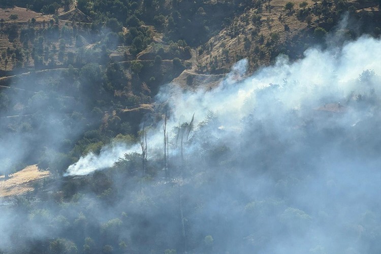 Malatya'da otluk alanda çıkan yangın ormanlık alana sıçradı