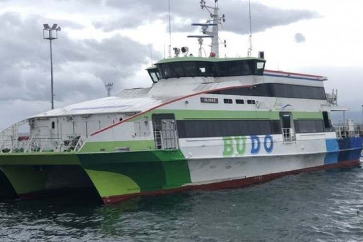 Bursa-İstanbul deniz otobüsü seferlerinden bazıları iptal edildi