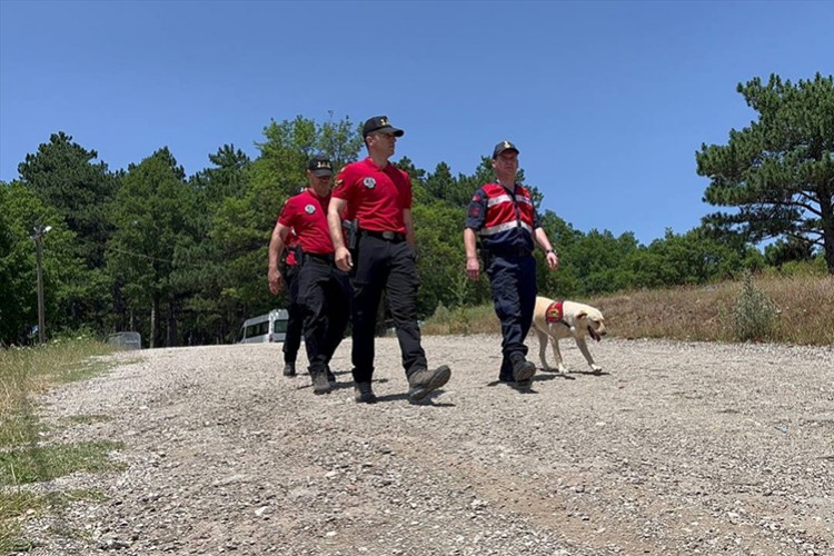 Uludağ'da muhtemel orman yangınlarına karşı devriyeye başladı