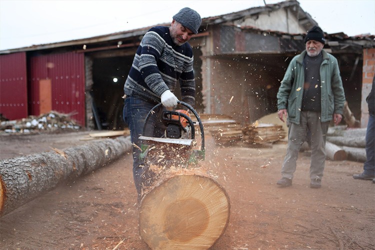 Çam kabuğu soyma makinesi seri üretime hazırlanıyor