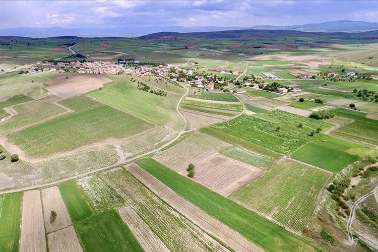 3 ilde arazi toplulaştırması yapılacak