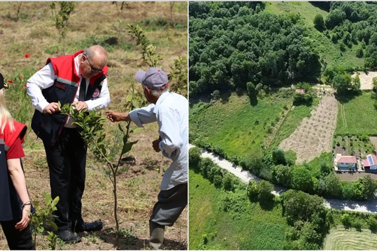 Zonguldak'ta 375 dekar atıl arazi tarıma açıldı
