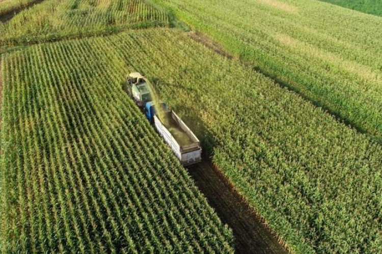 Çiftçilere 88,4 milyon liralık tarımsal destekleme ödemesi yapıldı