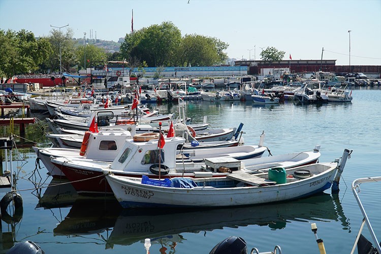 Tekirdağlı balıkçılar istavrit umuduyla denize açıldı