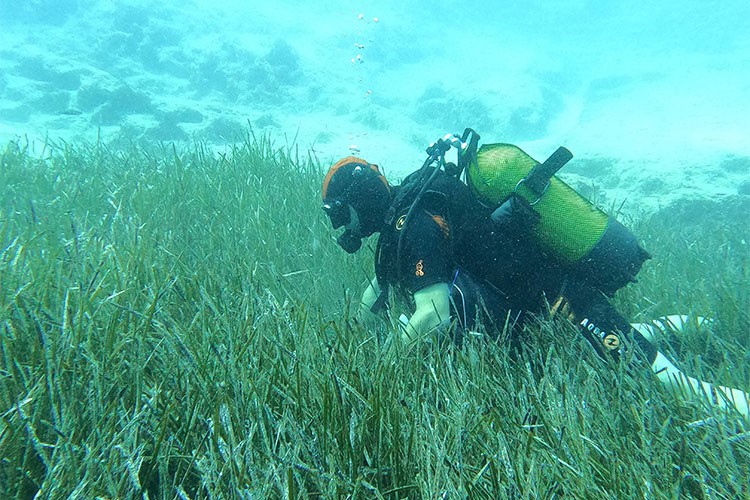 Mavi Nefes projesi Saros ve Göcek'te sürüyor