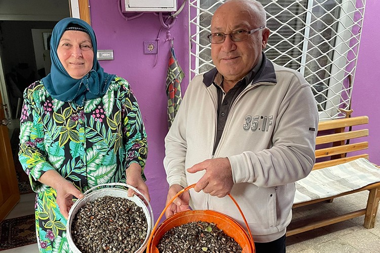 Kokarca böceğinden ilaçlı mücadeleyle kurtuldu