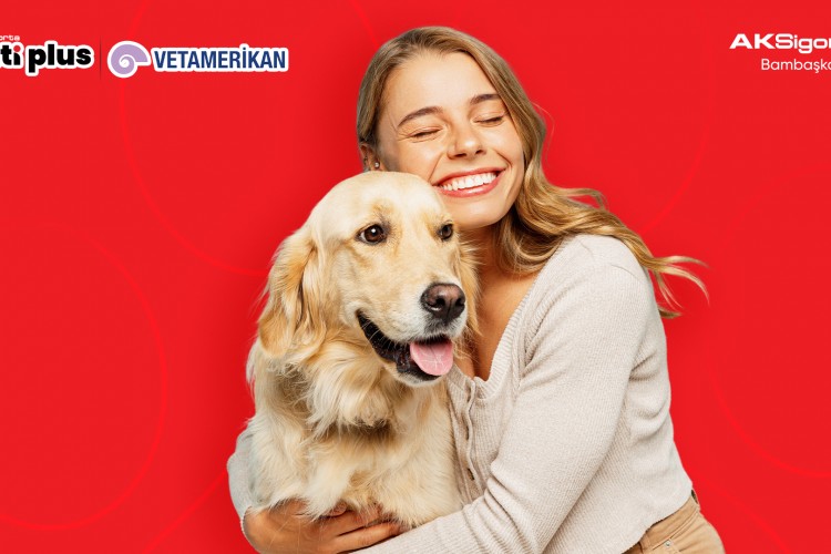 Aksigorta'dan evcil hayvan sahiplerini en iyi anlayan sigorta: Aksigorta Pati Plus VetAmerikan