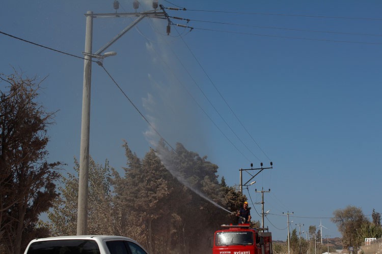 Elektrik hatlarında temizlik zamanı