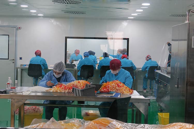 Yerli firma antijen testi üretti