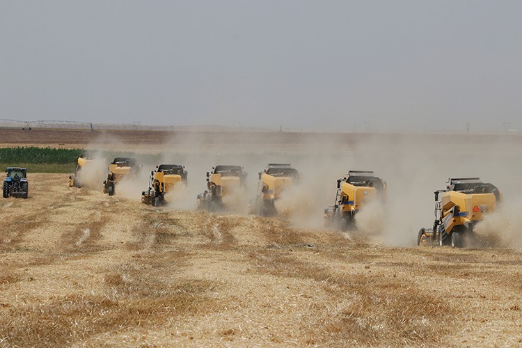 TMO alım fiyatları bayram sonu açıklanacak