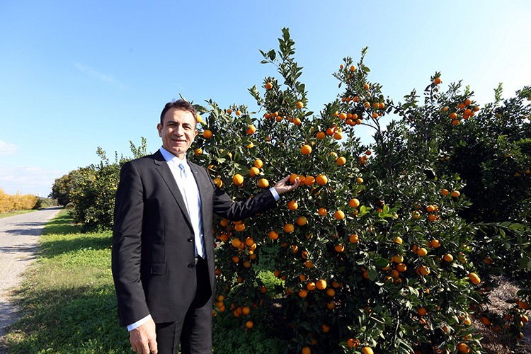 Dünyada düşüyor, bizde artıyor