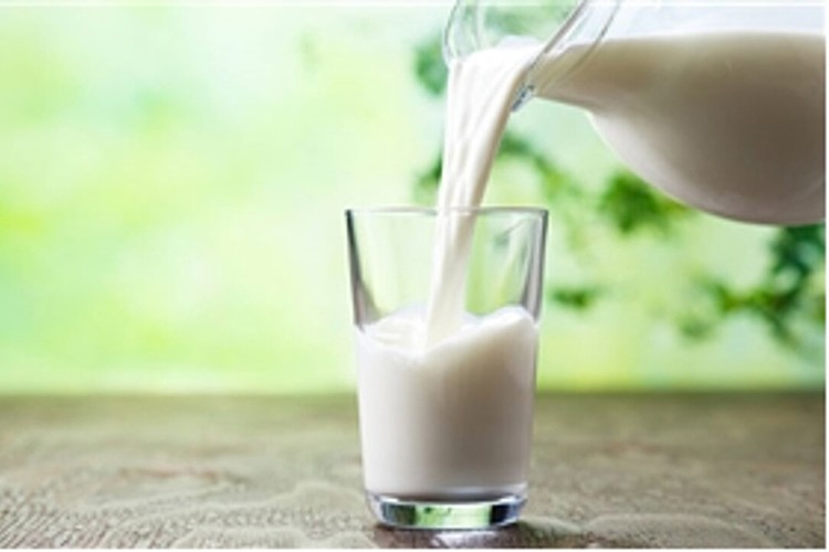 Çiğ süt için düzenleme