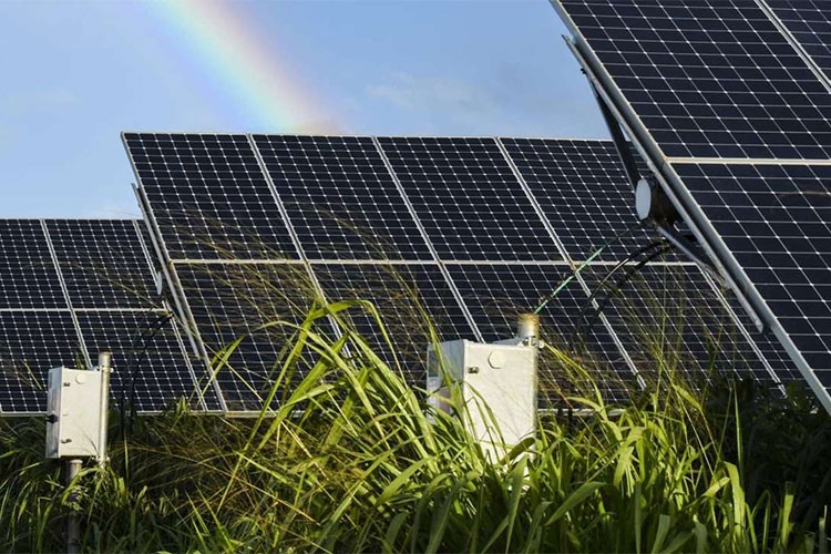 Tat Gıda 1,1 milyon dolar ile GES kuruyor