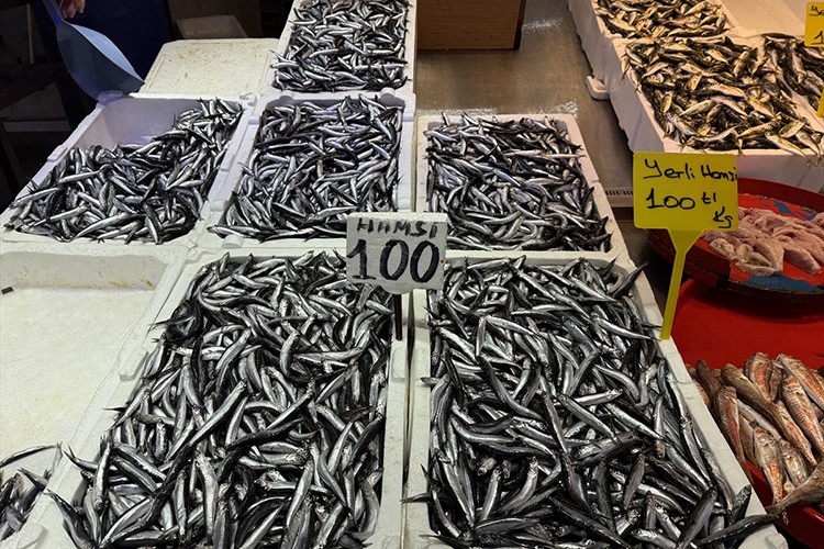 Trabzon'da hamsi ve istavrit 100 liradan satılıyor