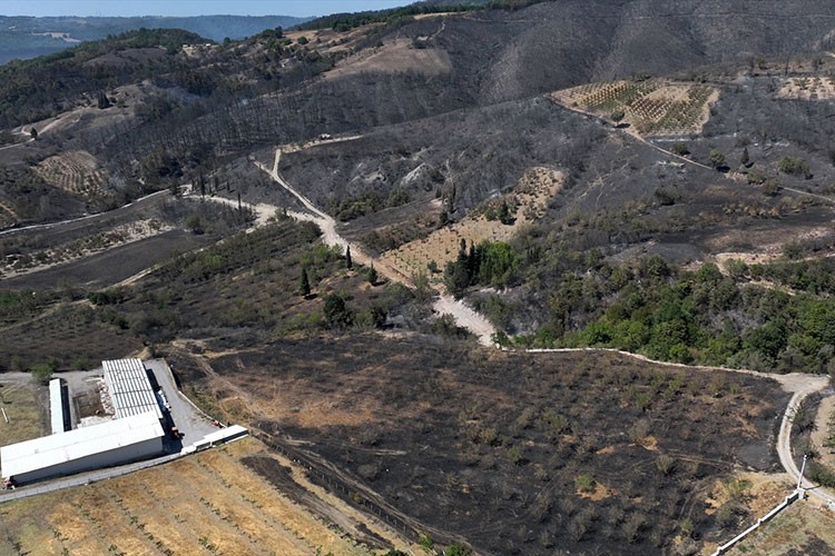 Kocaeli'de yangından zarar gören alanlar havadan görüntülendi