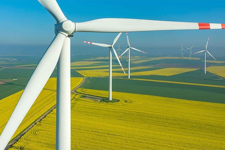 Rüzgar enerjisine dayalı YEKA yarışmaları 28 Ocak'ta yapılacak