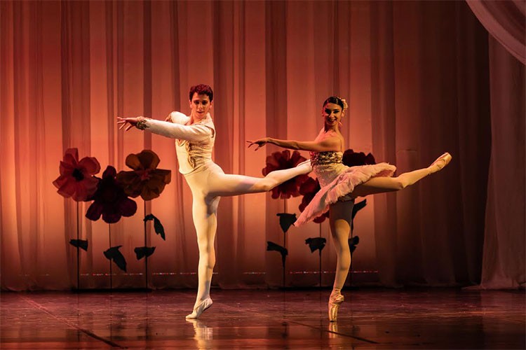 Balenin Büyülü Dünyası