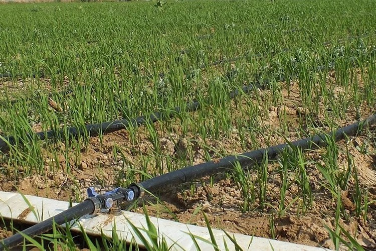 Metan gazı salınımı ve su sarfiyatı azalıyor