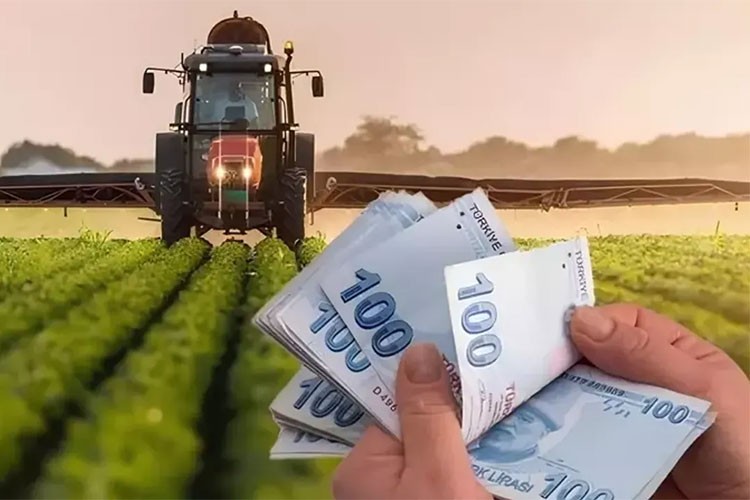 Tarım üretici fiyatları aylık yüzde 4,26 arttı