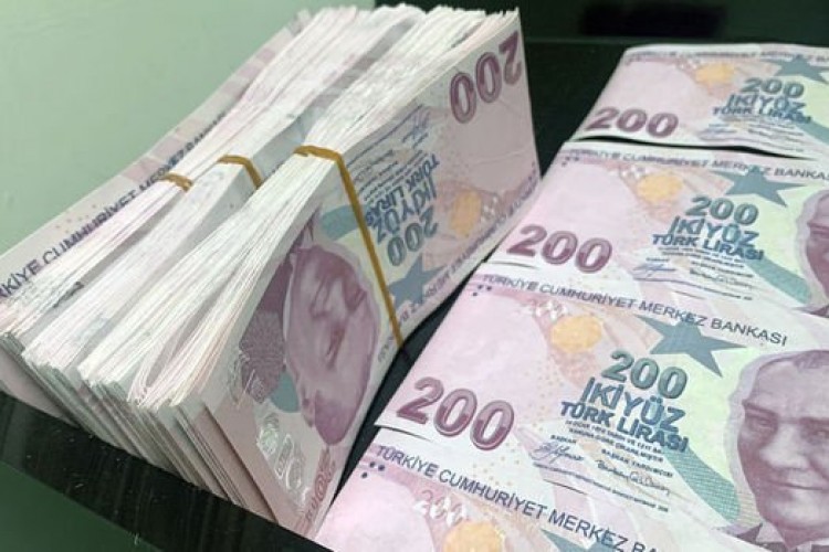 Hazine 502,1 milyar liralık iç borçlanmaya gidecek