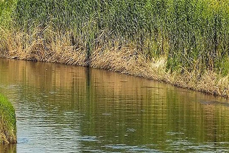 Marmara ve Sakarya havzaları yönetim planları onaylandı