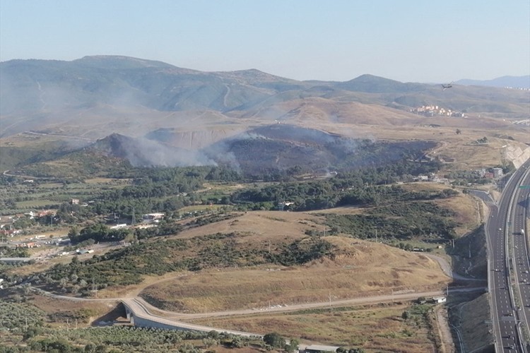 İzmir'de çıkan orman yangını kontrol altına alındı