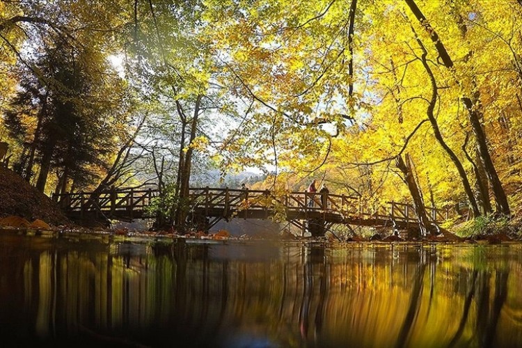 Milli parklar ve tabiat parkları Kurban Bayramı için hazır