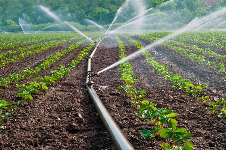 Sulama sistemi projelerine 300 milyon liralık hibe