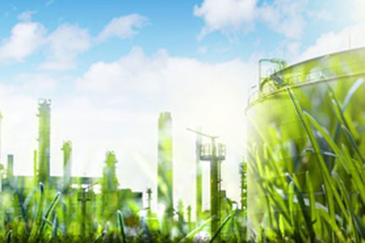 KOBİ'ler sürdürülebilir ambalajla öne çıkıyor